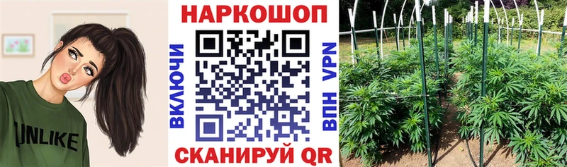 Как найти наркотики Курск Кокаин  А ПВП  мега tor  ГАШИШ  Конопля  МЕФ 