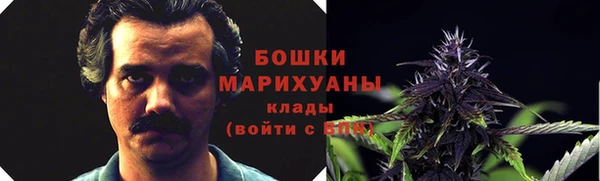 apvp Верея