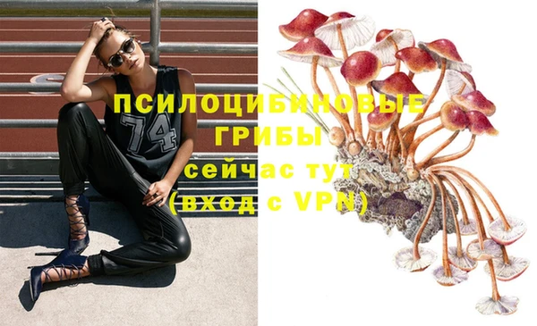 а пвп мука Бородино