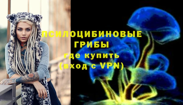 apvp Верея